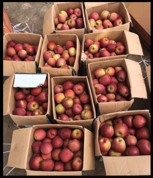 Táo đá Trung Quốc giá siêu rẻ ‘làm mưa làm gió’ tại chợ
