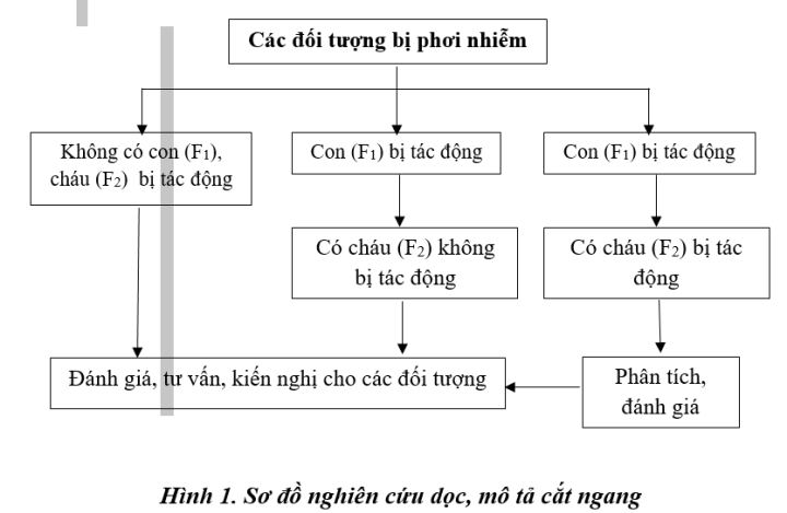 ĐIỀU TRA NẠN NHÂN CHẤT ĐỘC DA CAM TRÊN ĐỊA BÀN TỈNH NAM ĐỊNH VÀ QUẢNG NAM  VÀ MỘT SỐ KIẾN NGHỊ HOÀN THIỆN