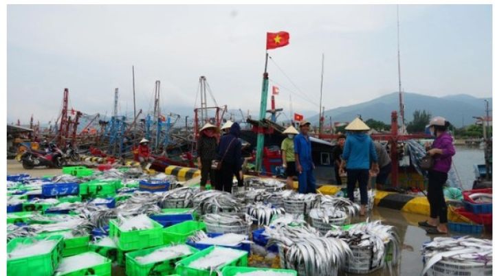 Chạy siêu bão, ngư dân Quảng Bình trúng luồng cá lớn