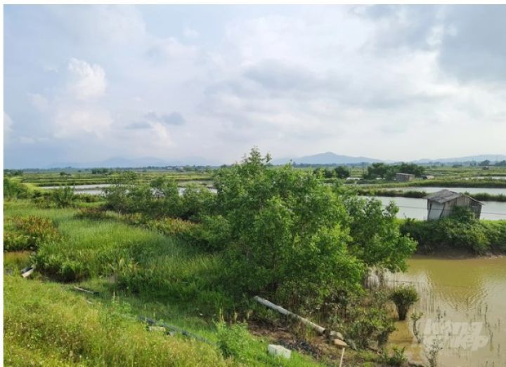 Ecopark rao bán dự án khu đô thị Hưng Hòa, nhà đầu tư cần cẩn trọng