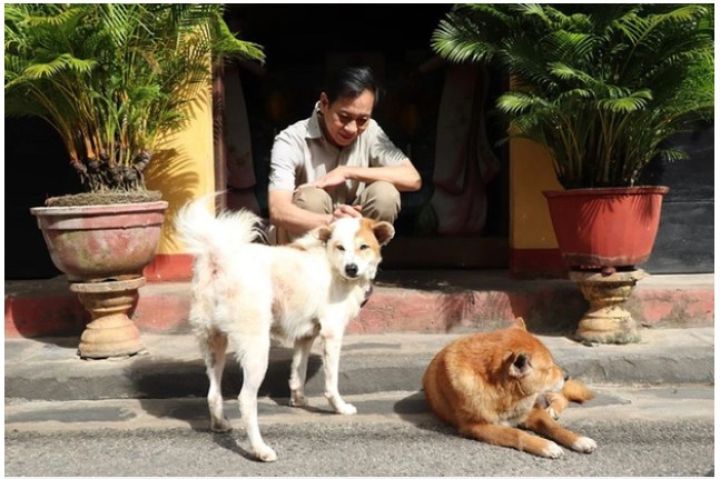 Hơn 1 tỷ đồng tài trợ để người Hội An nói không với thịt chó, mèo