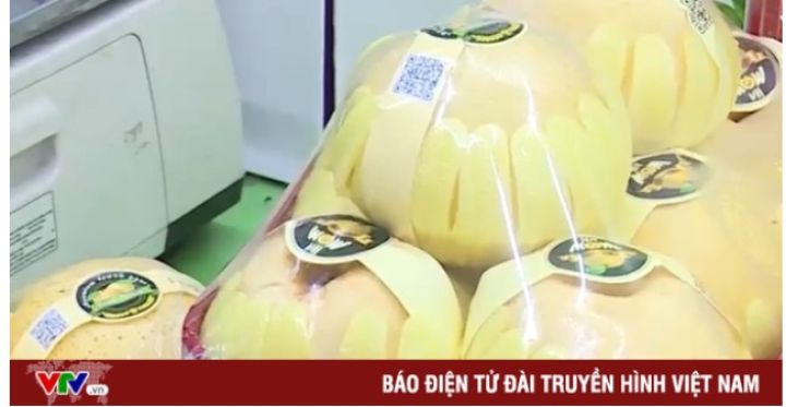 Vạch trần thủ đoạn gian dối xuất xứ lê Hàn Quốc