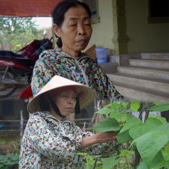 Thương con riêng chồng cũ, mẹ chăm hàng chục năm từ lúc còn đỏ hỏn