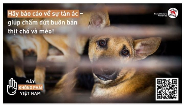 Triển khai thí điểm trang công cụ báo cáo về nạn buôn bán thịt chó, mèo