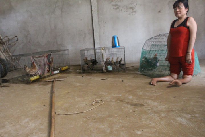 Nguyễn Thị Hiếu một nạn nhân chất độc da cam vượt khó vươn lên