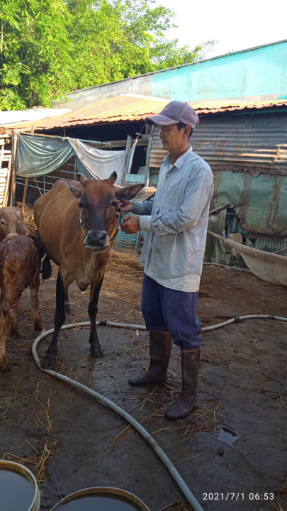 Thị hội Kiến Tường: Thực hiện tốt Chỉ thị số 43-CT/TW ngày 14/5/2015 của Ban Bí thư Trung ương Đảng