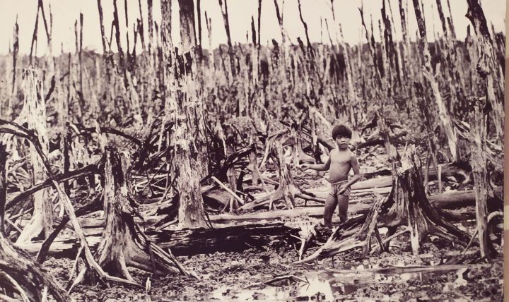 KẾT QUẢ NGHIÊN CỨU HẬU QUẢ CHẤT DA CAM/DIOXIN ĐỐI VỚI SỨC KHỎE CON NGƯỜI CỦA TRUNG TÂM NHIỆT ĐỚI VIỆT - NGA GIAI ĐOẠN 1988 - 2022