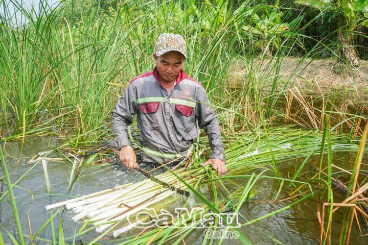 Nghị lực của những nạn nhân chất độc da cam