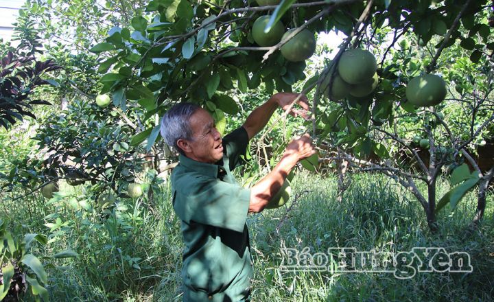 Nghị lực vượt khó của nạn nhân chất độc da cam Đỗ Đình Chiến