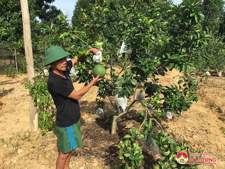 Ông Lê Văn Lan- Nạn nhân chất độc da cam làm kinh tế giỏi