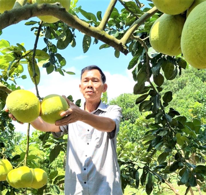 Khi lão nông làm giám đốc