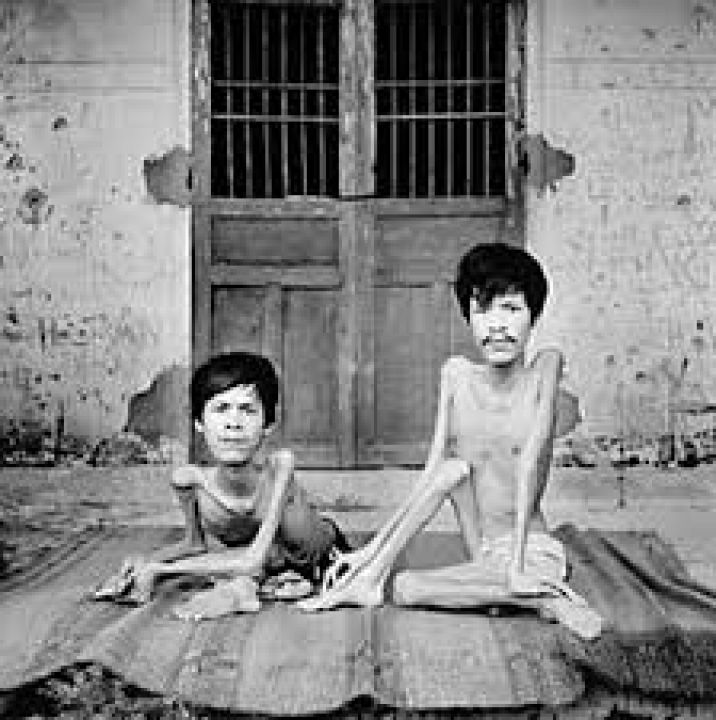 Path of life – The fire never dies