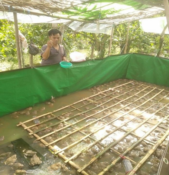 Đổi đời từ lao động cần cù của một  nạn nhân chất độc da cam