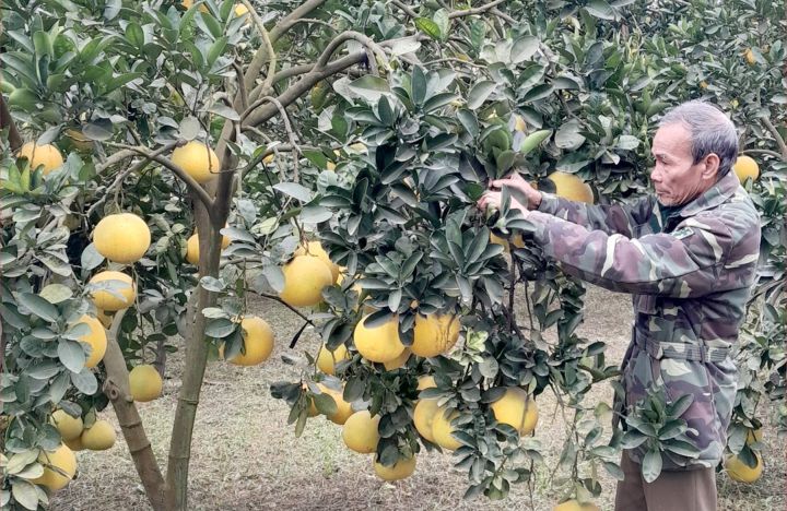 “Công dân kiểu mẫu” Nguyễn Văn Dưỡng