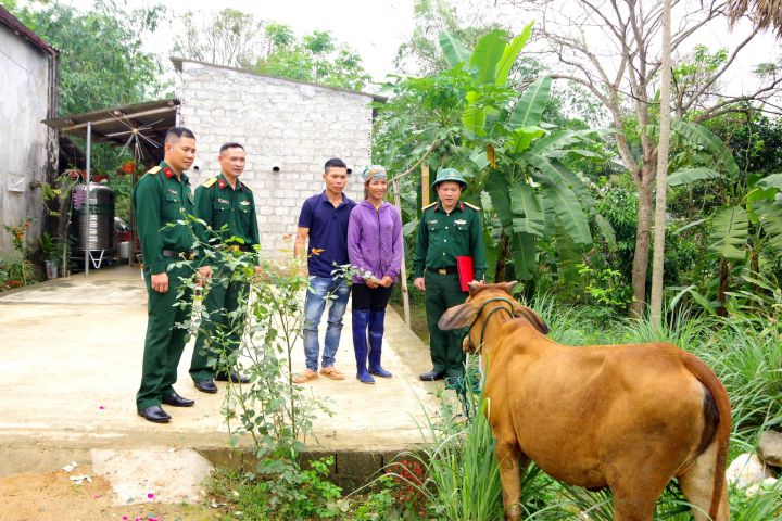 Quân khu 4 tặng bò và dê giống cho gia đình có hoàn cảnh khó khăn
