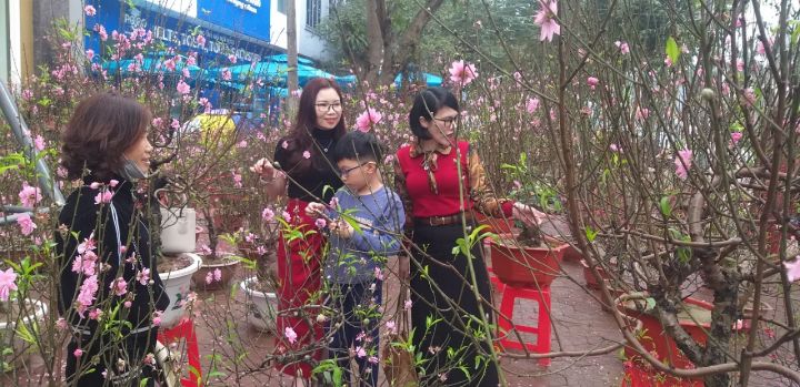 Nghệ An: TP Vinh rộn ràng vào Tết Giáp Thìn