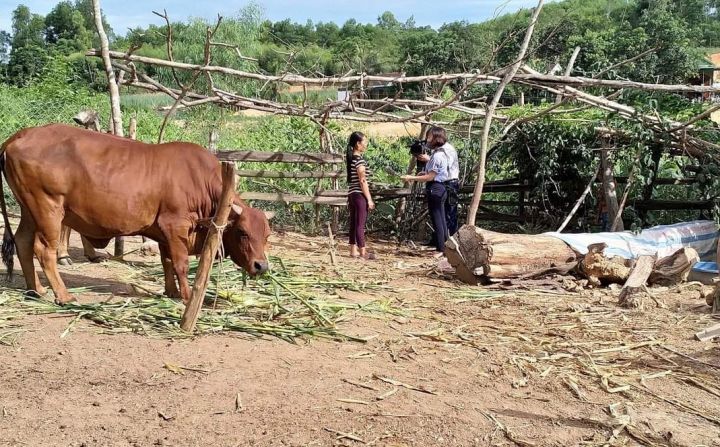 Nghệ An: Tạo cú hích cho người nghèo thoát nghèo