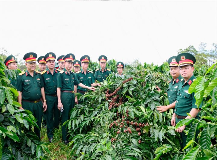 Tỏa sáng phẩm chất Bộ đội Cụ Hồ nơi vùng dự án