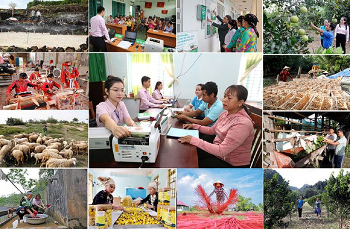 Quy định về tổ chức, hoạt động của Ngân hàng Chính sách xã hội