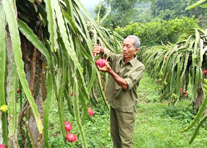 Chung ý chí và khát vọng vươn lên