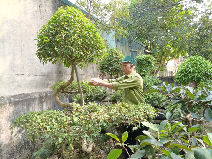 Hội xã Mỹ Thành: điểm sáng về nạn nhân chất độc da cam xóa nghèo